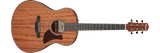 **IBANEZ AAM54OPN ACOUSTIC GUITAR - IN-STORE PICKUP ONLY -**